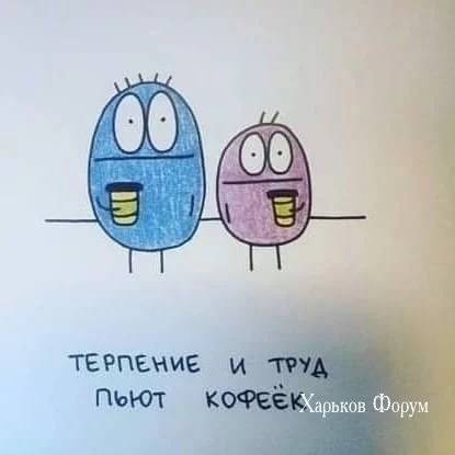 73db4e8ad6496e48ef2.webp