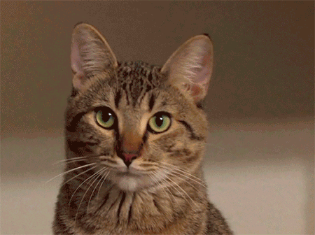 73e79688402a3958b7dc1bd1.gif