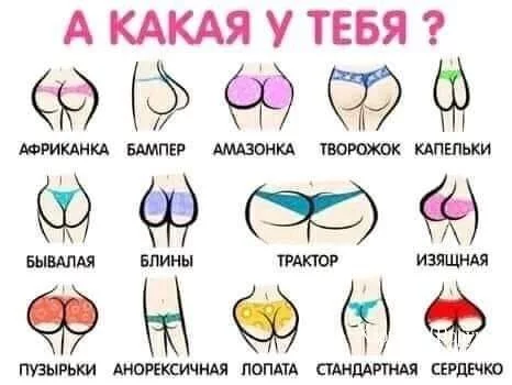 73f146584bb7b08e327.webp