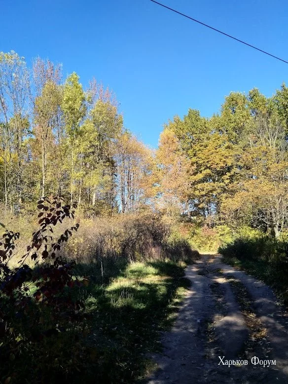 73f3117c7ec8e386.webp