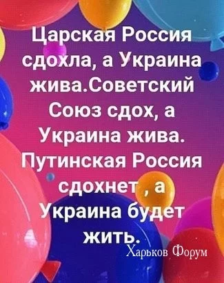 73f33d7b99d8b2f5283c9.webp