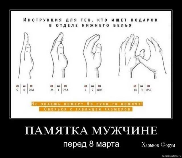 74100bb513ccf51d93499f65.webp