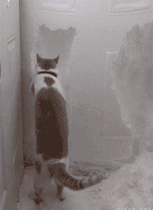 7414c22f55c3e55031efe503.gif