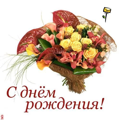 74267775_S_dnem_rozhdeniya_GRM_zastavka.webp