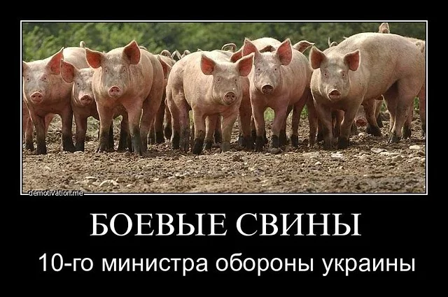 7432159184_6cbf554f0c_z.webp