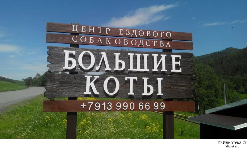 74385D27-32E9-453A-9F45-F09FC6F62813.webp