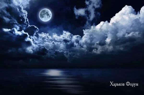 7448f50a7d3d0b2a4c6ba2.webp