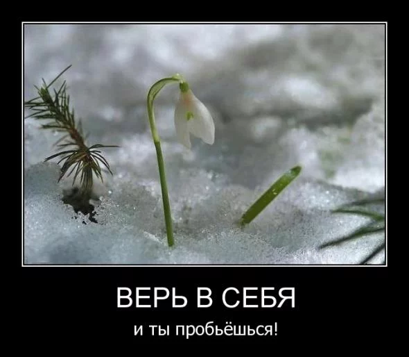 745.webp