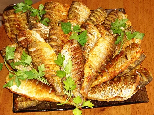 74504178_rzh.webp
