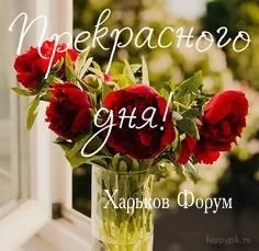 7458402514aeb95d9.webp