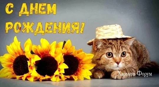 745c3f9e8227bd196713f04d.webp