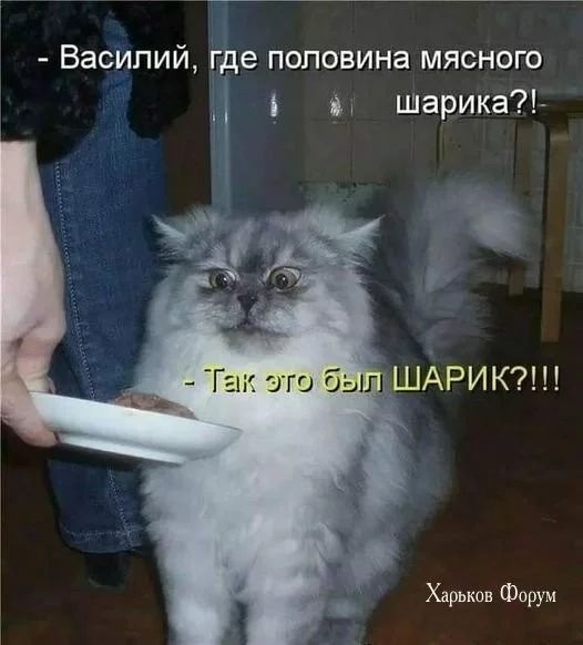 746368480866de6e71445f30.webp