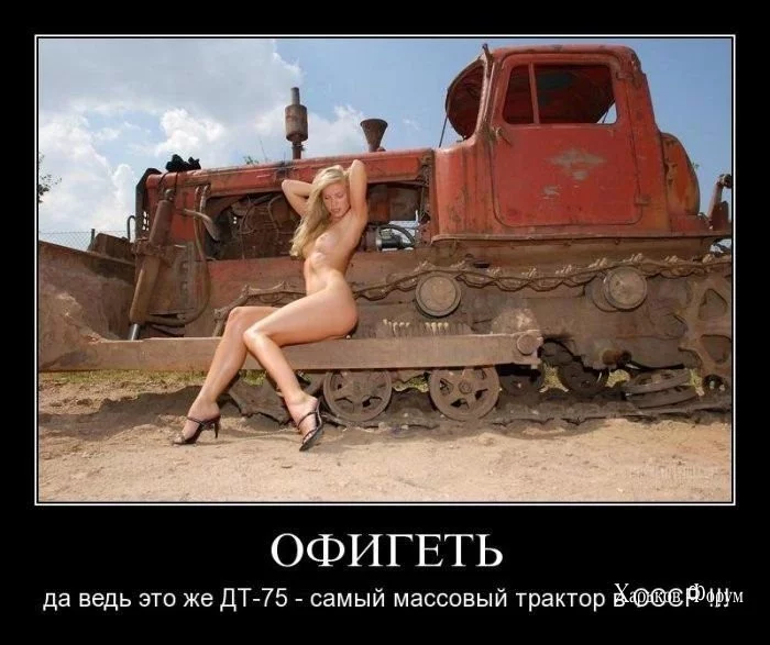 747d379699291e84a5.webp