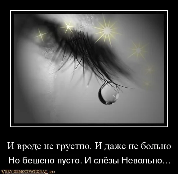 74852824.webp
