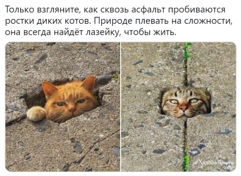 748facab2bd9043fa82b2e58.webp