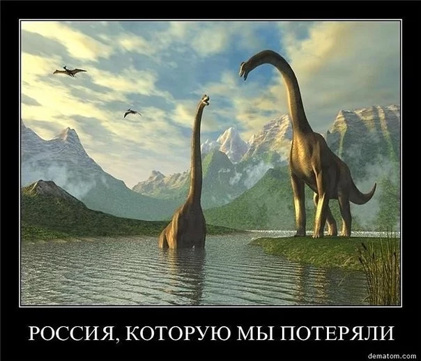 74902813_large_4234530_x_1fc9444d.webp