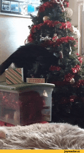 74c337c7ba1571f26e135c.gif