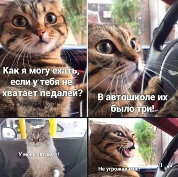74cbd7e4d3df624210e.webp