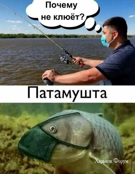 74e316c75ecaf08383dcd.jpg
