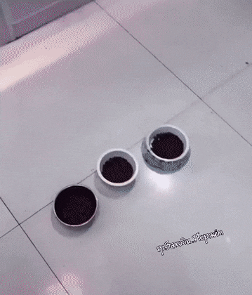 74ea2d958222153ad92c52d7c6ad73f907215c2a.gif