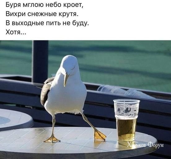 74eb5c5aa6925ac7ce1d2f.jpg