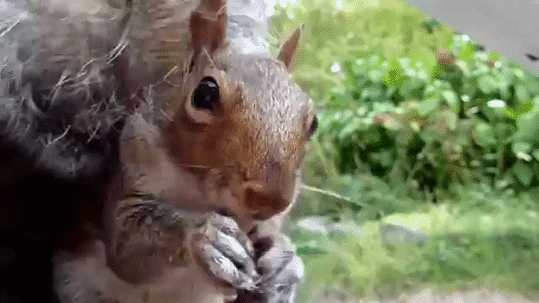 74f31d63b0232d982513.gif