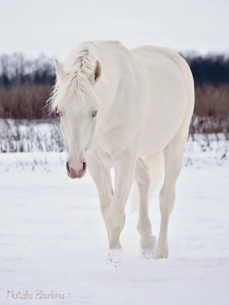 74f7027c.webp