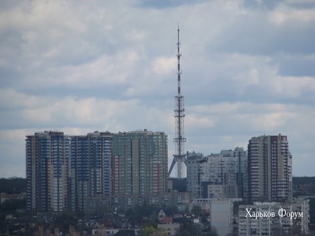 75007eaba23994225b44b.jpg