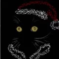 7500f0369e68f552b867dbedf17486bc.webp