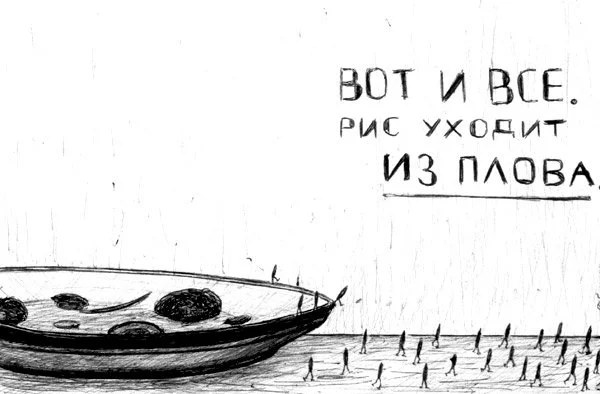 7516.webp