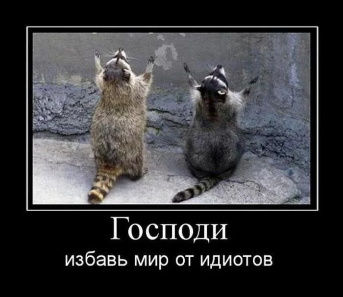 75251596_875697_01_2_.webp