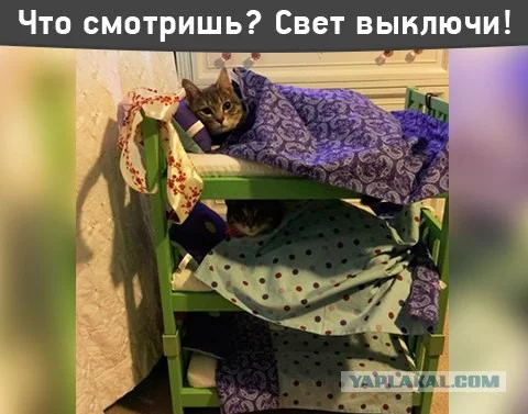 7536194.webp