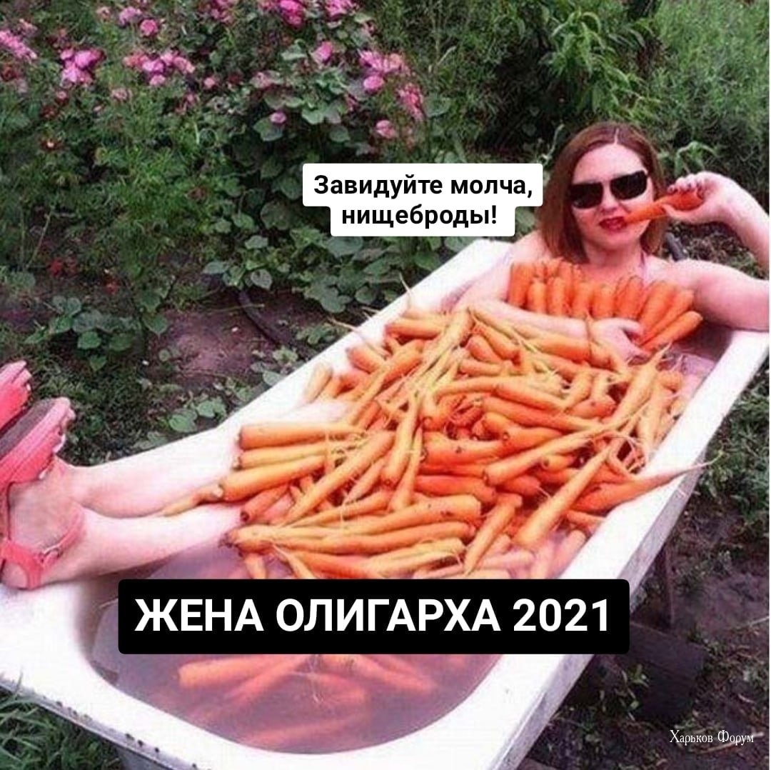 753e488166d4f9e1.jpg