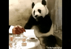7540595db43d8a7ae51bce.gif
