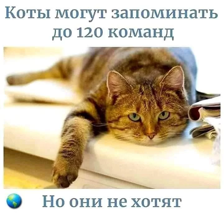 755c8cbf362147656be8c.webp
