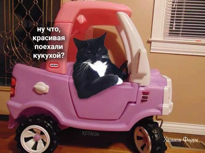 755f15526d20344d.webp
