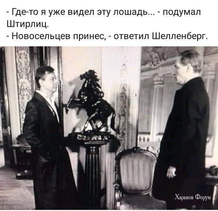 7568579622923e240fa48d6.webp