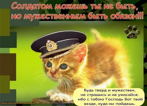 7574.webp