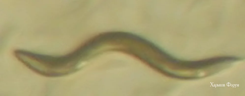 757eb697b358428f.webp