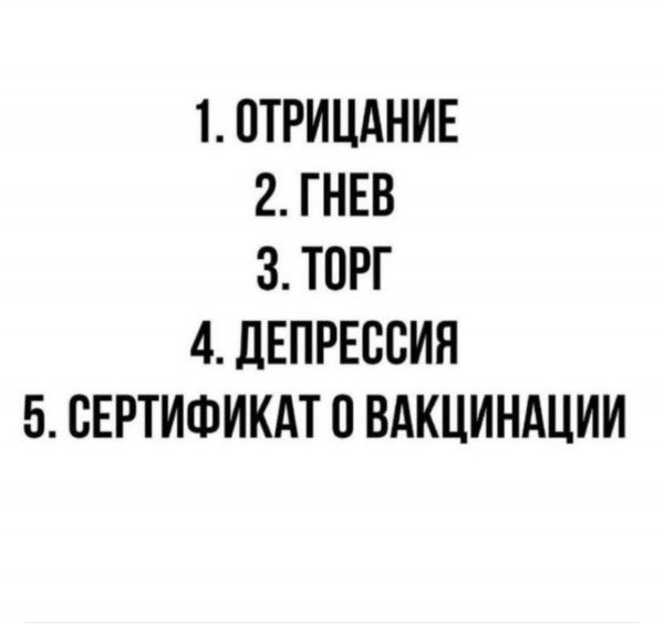 7581cc45d1725644b8e0718.jpg