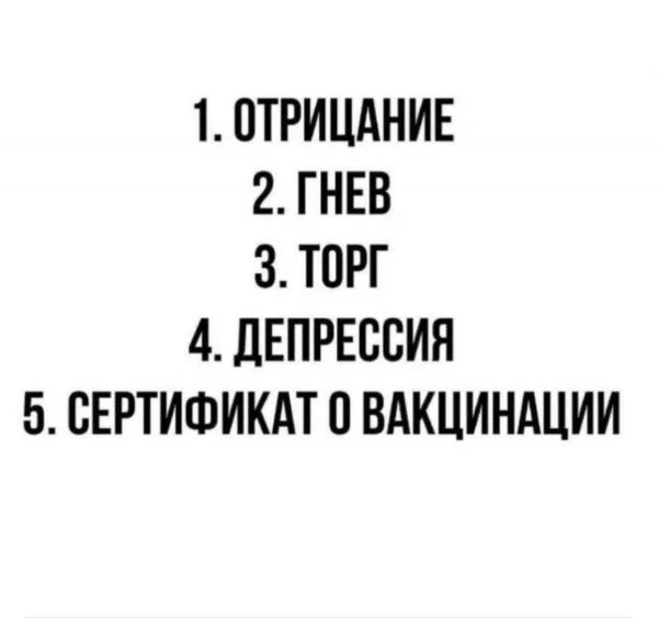 7581cc45d1725644b8e0718.webp