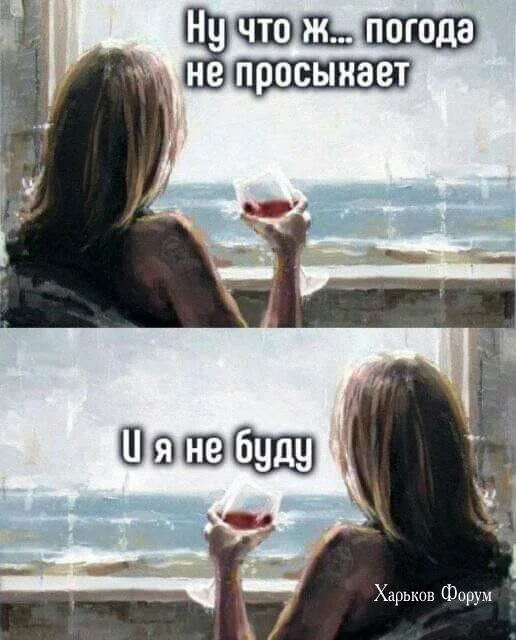 7584566846dad349726d.webp