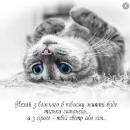 7586fff2115f4f18ab48d10a0042728b.webp