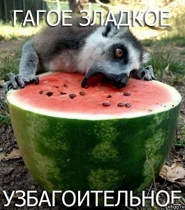 7589941c4725de65ae589e063edfe5fa.webp
