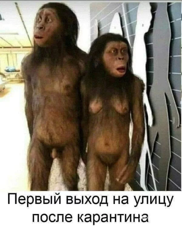 759cdbea02229e0bda77910f.webp