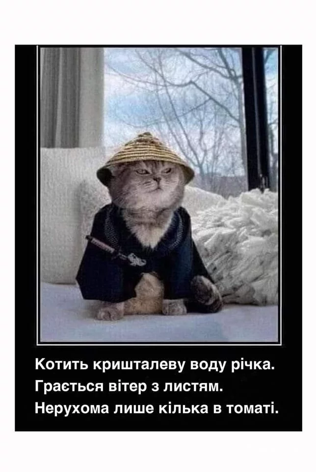 75a8243724ced1b63612c.webp