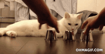 75b131f1a3bfed6c.gif