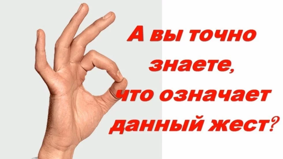 75bbecf25fbd6698ed.webp
