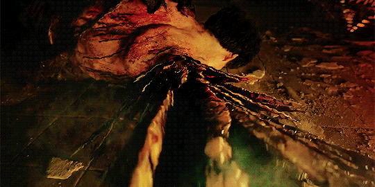 75bd74cf6ccddf8274b08441723cefd1cf1dce80.gif