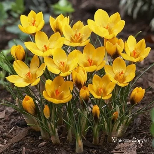 75c377499ade8e7e5bf.webp